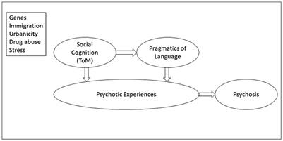 Editorial: Psychotic experiences, social cognition and pragmatic communication in the psychosis continuum